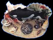 Orca Ocean Scene 2
