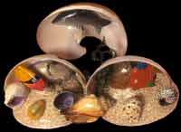 Triple Shell Aquarium