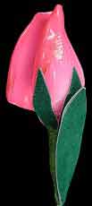 Pink Rose