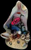 Angel Fish Scene
