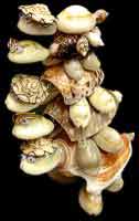 Stack Turtles w/ Glasses