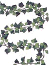 Asst. Ivy Garlands