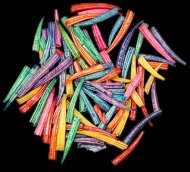 Dyed Tusk Shells