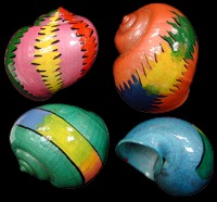 Rasta Colors