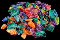 Dyed Coquinas