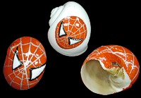 Spyder Crab