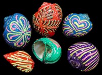 Design Shells 1