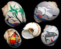 Design Shells 4