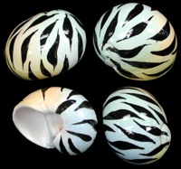 Zebra 2
