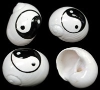 Ying Yang