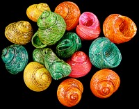 Dyed Turbos