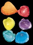 Dyed Arks