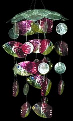 Capiz Angel Fish